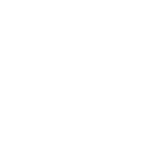 MG Logo